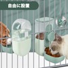 Automatic Feeder, Dogs, Cats, Small Animals, Automatic Water Supply, Set