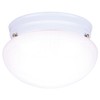 Westinghouse Lighting 66699 WESTINGHOUSE, One Light White