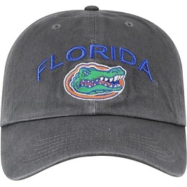 Collegiate Charcoal Team Arch Adjustable Hats (US, Alpha, One Size, Florida)