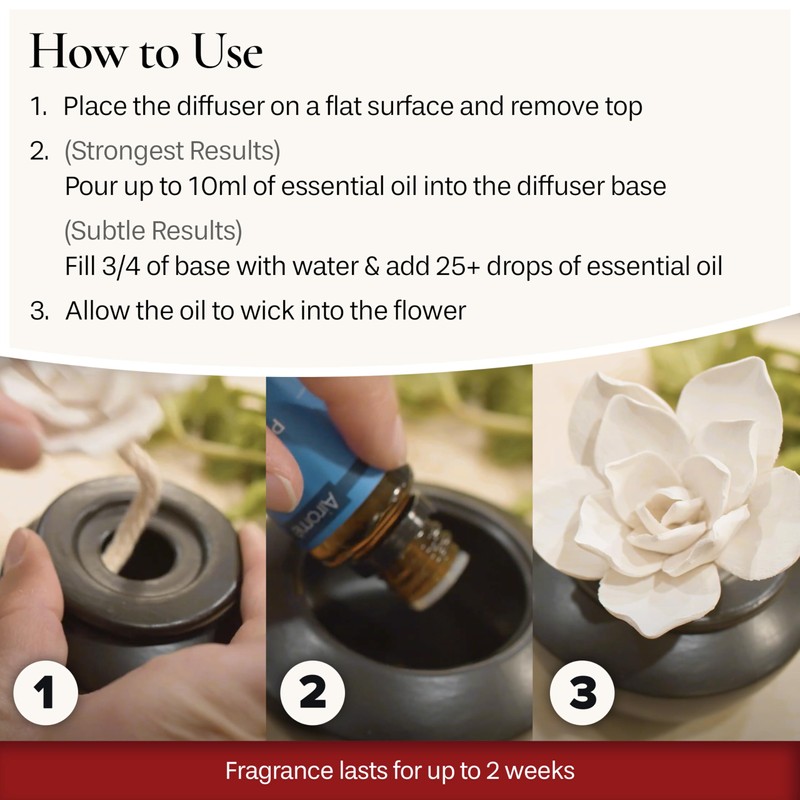 Airomé White Flower, Porcelain Passive Essential Oil Diffuser (with 15ml