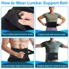 Back Brace for Lower Back – Adjustable Lumbar Support Belt