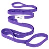 Abiarst Stretching Strap Yoga Straps for Physical Therapy, 10 Loops