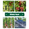 Torchesy Scrog Net Plant Net Elastic Stretchy Trellis Net Reusable