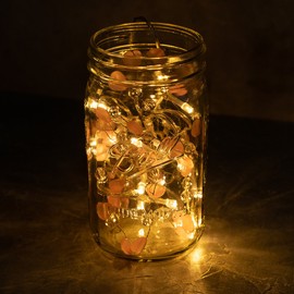 West Ivory 5 feet 20 LED String Fairy Light w/Beads & Hearts Battery Powered Decorative Indoor Outdoor, Warm White