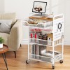 Hkwotinha 3 Tier Rolling Cart with Wheels - Metal Utility