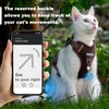 Cat Harness and Leash Set - Escape Proof Adjustable Cat