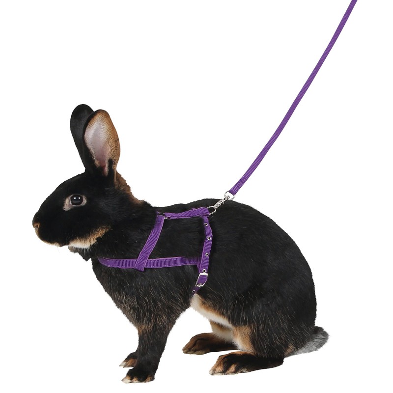 Kerbl Shoulder Harness Agility with Leash, Large, 2 m