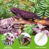 QUOZUO 2 Pack Reptile Plants for Terrarium, Artificial Leaves Habitat