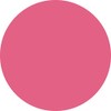 Preanfa PDU-M579 PDU-M579 Color Gel Muse Macheri Pink 579 0.1