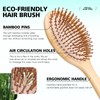 Combetter Bamboo Hairbrush and Comb Set - Natural Eco-Friendly Paddle