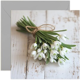 Snowdrops Photo Greeting Card - Sympathy and Condolences Gifting for Friends and Family - Beautiful Photography Art - Premium Card with Envelope - Blank Inside for Message