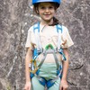 PETZL C068AA00 Whistch/Full Body Harness for Children Under 66.1 lbs