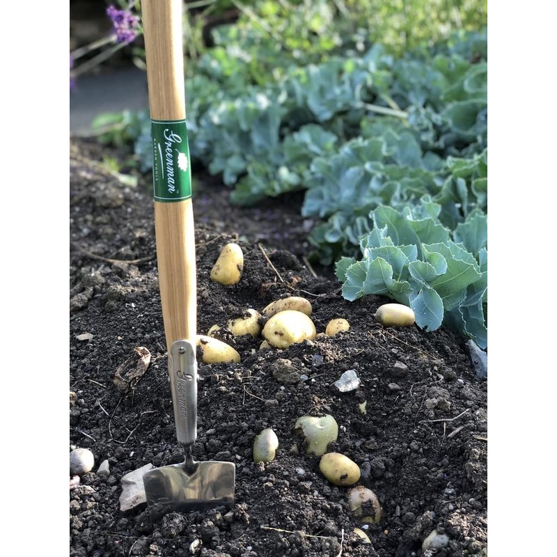 Greenman Mid Handle Stainless Steel Trowel Ash Handled