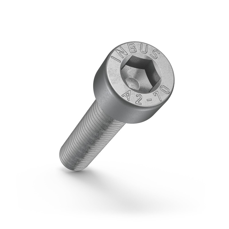 INBUS® Cylindrical Screws with Hexagon Socket M 6 × 25