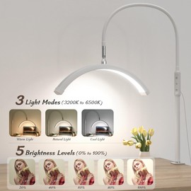 Mznoo Desk Lash Light for Eyelash Tech, LED Half Moon Light for Nail Desk, Eyelash Extensions, Skincare, Tattoo and Nail, Adjustable Color Modes and Brightness (White)