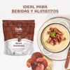 BULK SUPERFOODS Extracto de Reishi Orgánico en Polvo Adaptógeno