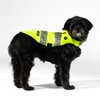 Kishigo RoverWear Reflective Safety Vest for Dogs DG100, 2 Zipper