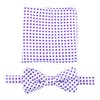 Scott Allan Collection Pre-Tied Bowtie for Boy's/Men - Purple &