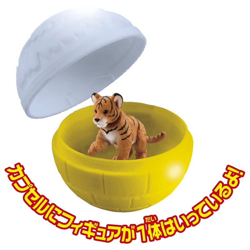 Ania Gachatto Korokoro Capsule 2 Box