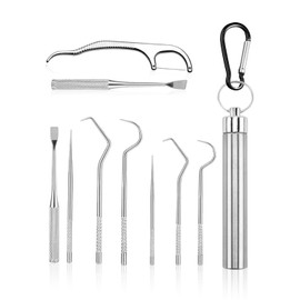 9 Pieces of Metal Toothpicks, 1 Piece of Carabiner, Stainless Steel Toothpick Set, Convenient Toothpicks, Reusable, Tooth Cleaning Tool