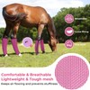 KUEIOX Mesh Horse Fly Boots Set of 4，Adjustable and Universal