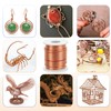 99.9% Pure Copper Wire (12 Gauge, 2MM), 50 Feet Solid