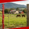 Zwinz Heavy Duty Galvanized Steel Wire Fence Stretcher Tool, Wire