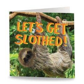 Maturi 'Let's Get Slothed' Funny Humorous Birthday Greetings Card - Blank Inside, 15.5 x 15.5 cm