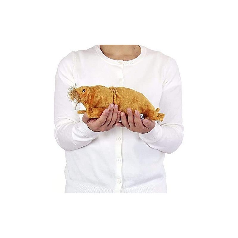 Real Stuffed Walrus nesoberi Series