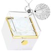 Preserved Real Rose Rotate Box with I Love You Necklace