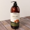 Food Aholic Bubble Therapy Argan Shampoo 1500ml/Large Size / 푸드어홀릭