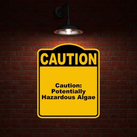 Caution Potentially Hazardous Algae Caution Yellow Black Aluminum Composite Sign 20 x 24 inches