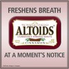 ALTOIDS Cinnamon Mints, 1.76 oz. (Pack of 12)