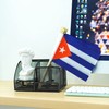 TSMD Cuba Stick Flag Cuban Small Mini Hand Held Flags,5x8
