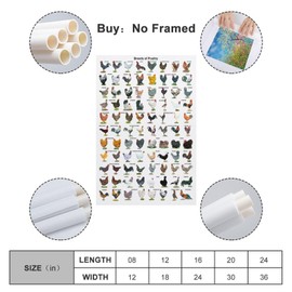 WXQZHF Chicken of Breeds,Poultry Knowledge Poster Poster for Room Aesthetic Posters 16x24inch(40x60cm)