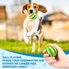 Suilung 12 Pcs Dog Treat Toy Balls Bulk Interactive Dog
