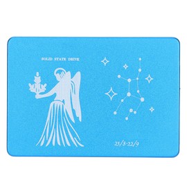 Hsthe Sea Mobile Solid State Disk Portable 2.5 Inch Virgo Blue Metal External SSD for PC Computer240GB