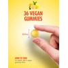 Sundance Vitamin C and Zinc Gummies | 36 Count |