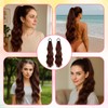 Clip in Ponytail, 2 Pack Dark Brown Ponytail Extensions, Human