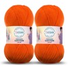 Troyarn Cotton Love (paquete de 2 madejas) 55% algodón, 45%