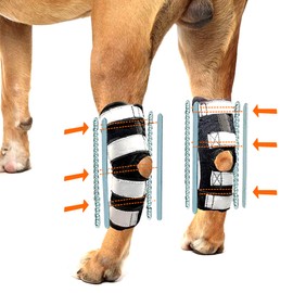 NeoAlly - 3-in-1 Long Rear Leg Hock Brace, Dog Leg Brace for Rear Leg with Rigid & Spring Inserts, Hock and Ankle Support, Dog Leg Sleeve with Reflective Straps, Large, 1 Pair