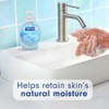 Softsoap Liquid Hand Soap, Fresh Breeze - 7.5 fluid Ounce