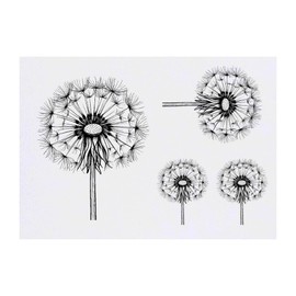 4 x 'Single Dandelion' Temporary Tattoos - Water Resistant, Skin-Safe, Non-Toxic Transfers, Mixed Sizes (TO00083792)