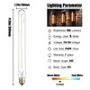 Leools Vintage LED Filament Bulb T300, 6W Dimmable T10 Edison