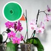 HINZIC 1 Roll Green Plant Tape 16.4 Ft × 0.57