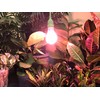 Un-Edison LED Grow Light Bulb Red Spectrum Replaces up to
