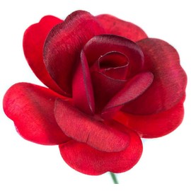6 Red Black Tips Full Open Bud Wooden Roses for Crafts Custom Bouquets and Other Projects. 10 Colors to Choose from.