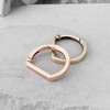Briny River 10 Pieces Metal Flat D Ring Spring Key