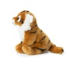 15192001 - WWF Floppy Tiger Soft Toy