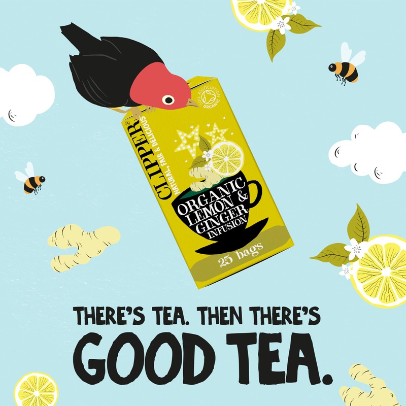 (3 PACK) - Clipper - Organic Lemon & Ginger |